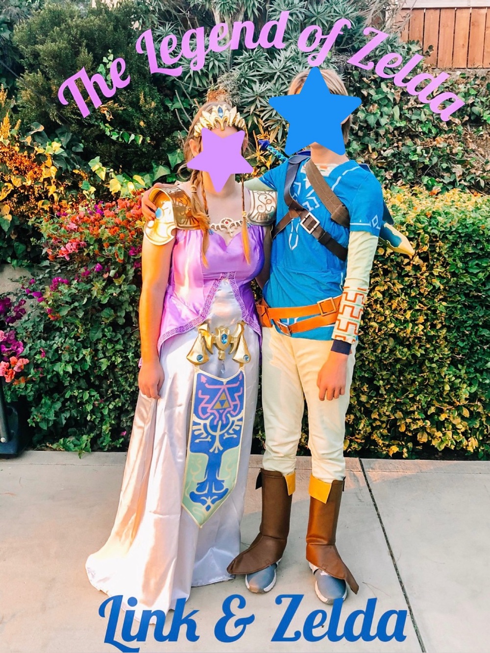 Link from The Legend of Zelda Costume Adult/ Teen Size M/L